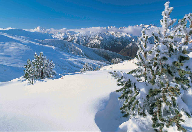 cómo fotografiar la nieve