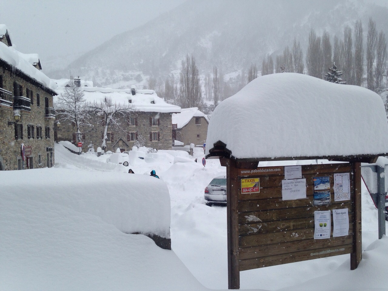 IMG-20150201-WA0006(1)