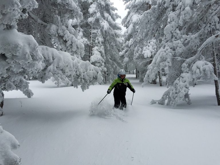 Un esquiador, disfrutando de la nieve polvo recién caída