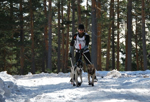 Joserra-Lebron-mushing-bosque