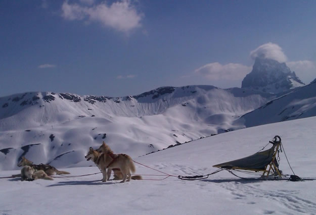paseo-en-trineo-de-perros