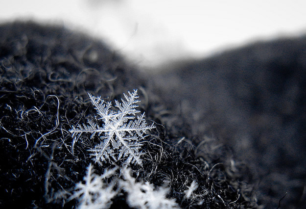 Copo-de-nieve-estrella
