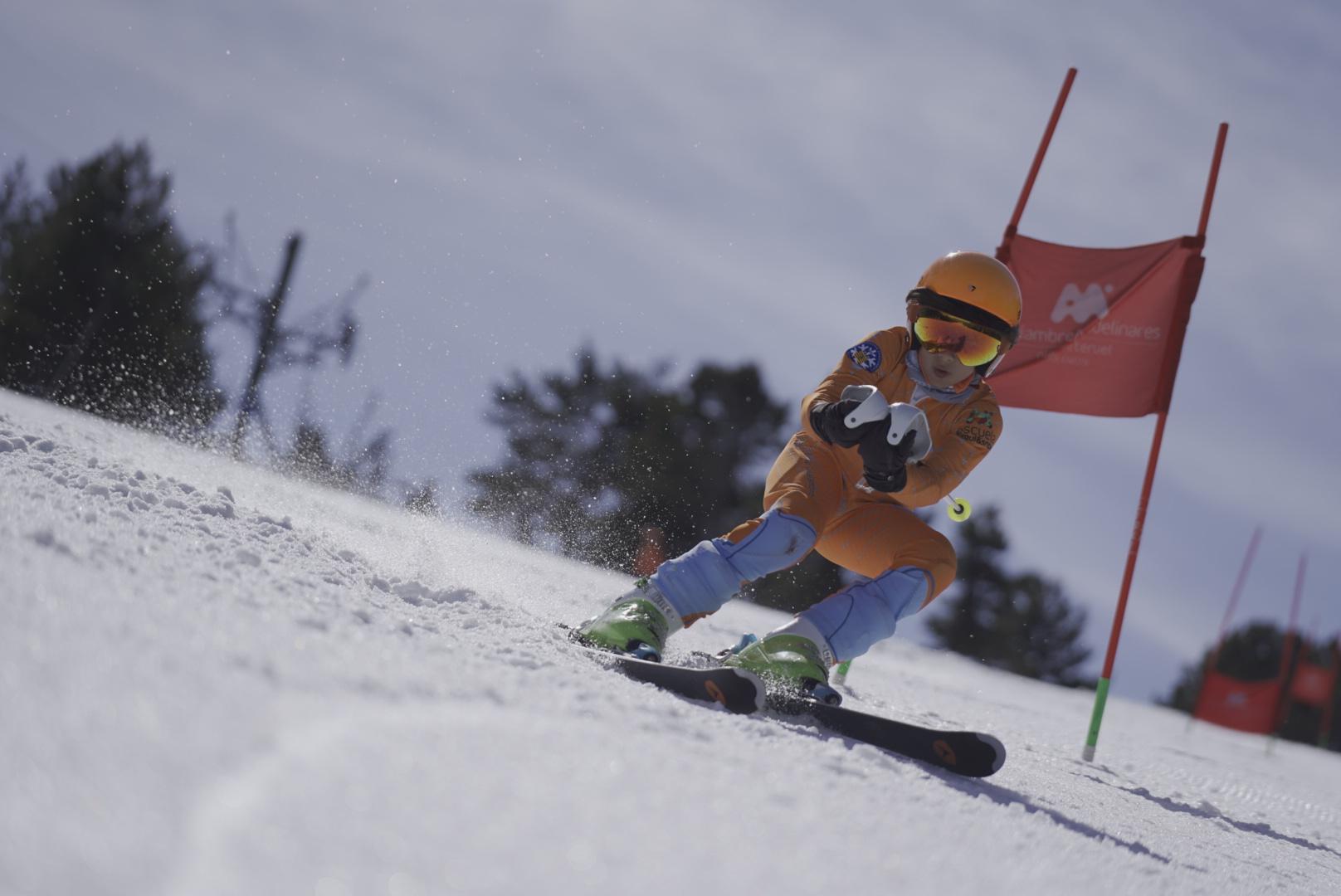 Día Mundial de la Nieve