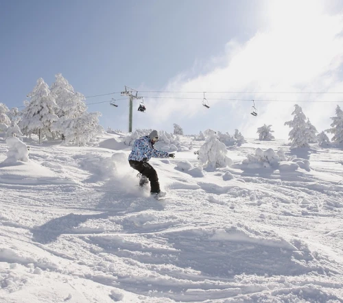 Todo tipo de pistas