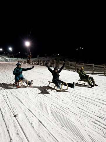 Reserva online Tobogganing en Formigal-Panticosa | Estación de esquí Formigal Panticosa