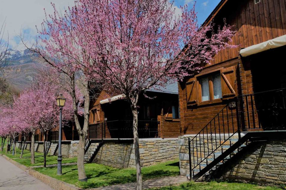 Bungalows La Borda d'Arnaldet