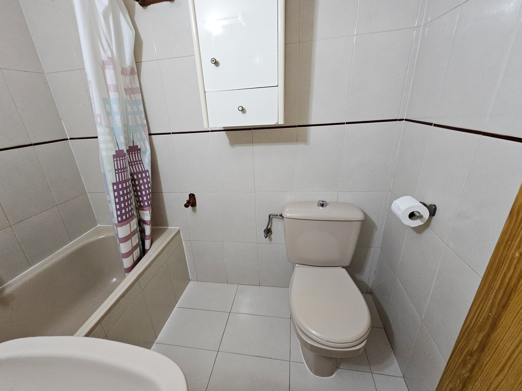 Apartamentos Formigal 3000