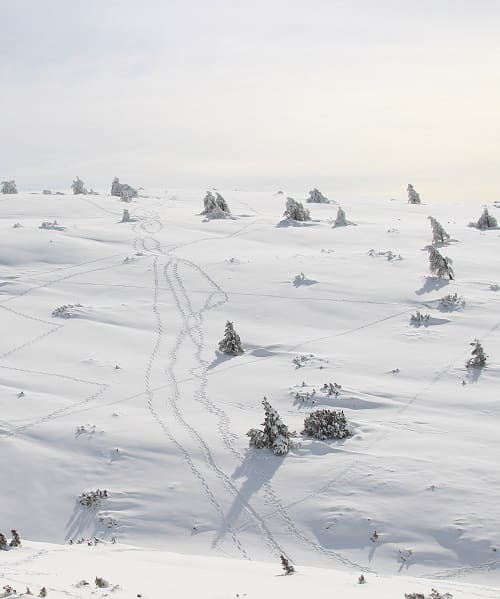 Estacion de esquí Aramón Javalambre-Valdelinares